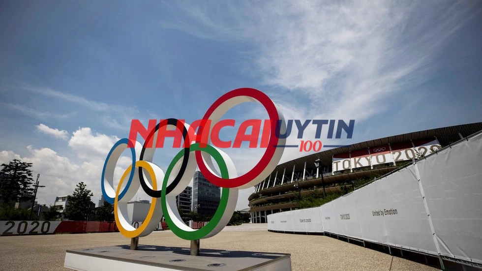 Cập nhật lịch thi đấu thường xuyên để cá độ bóng đá hiệu quả