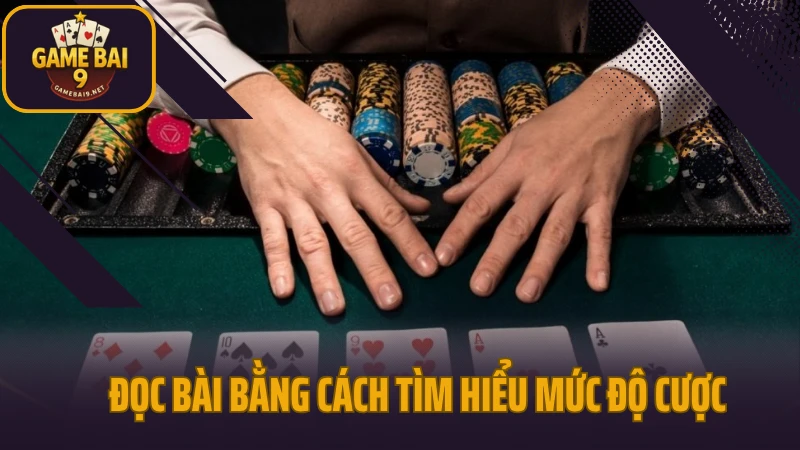 Bí kíp đọc ván bài poker chính xác từng diễn biến 6 Đọc bài poker bằng cách tìm hiểu mức độ cược