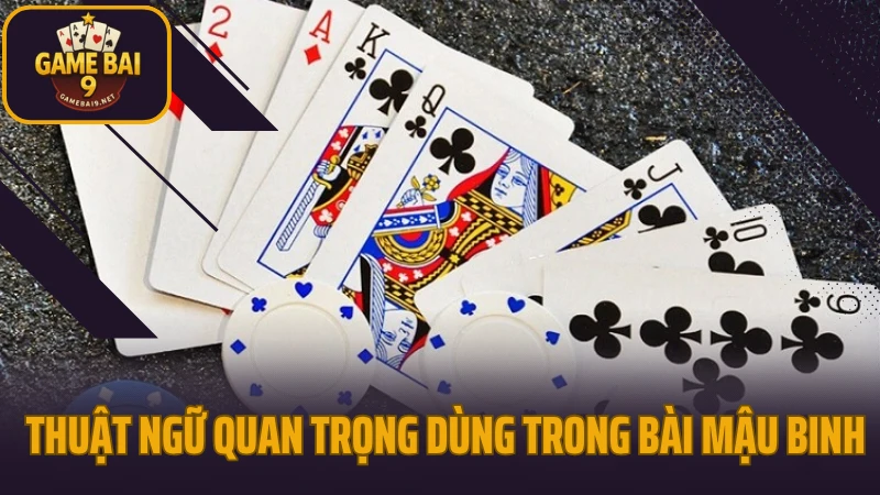 Cách xếp bài mậu binh 13 lá dễ thắng không phạm sai lầm 3 Thuật ngữ quan trọng dùng trong bài mậu binh