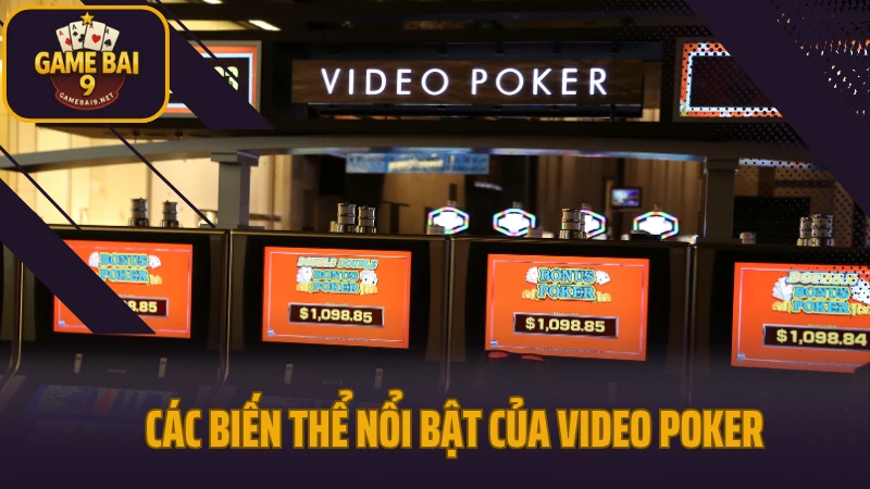 Video poker - kết hợp máy slot và bài poker cực độc lạ 4 Các biến thể nổi bật của video poker