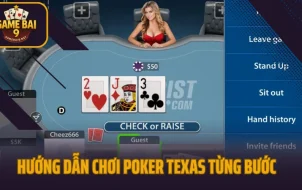 Hướng Dẫn Chơi Poker Texas