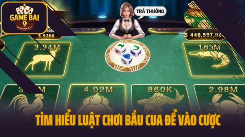 Hướng dẫn chơi bầu cua từ cơ bản đến cao thủ 3 Tìm hiểu luật chơi bầu cua để vào cược